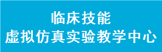 省级虚拟仿真实验教学中心
